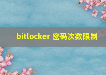 bitlocker 密码次数限制